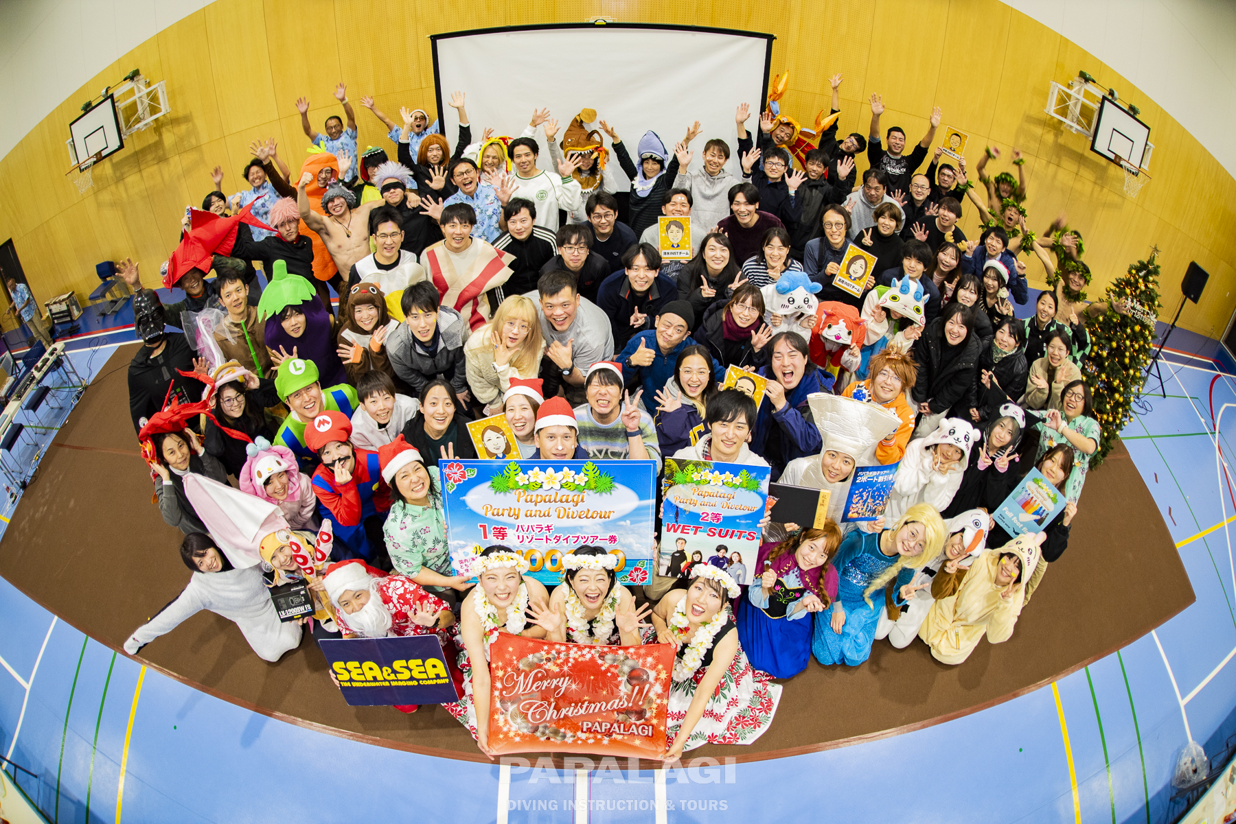 ⭐️第2回クリスマスツアー⭐️